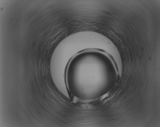 X0000062650376200601111158