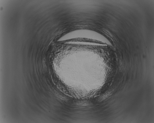 X0000062650377200601111158