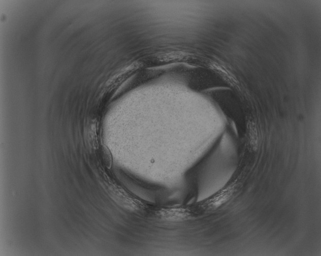 X0000062650378200601111158