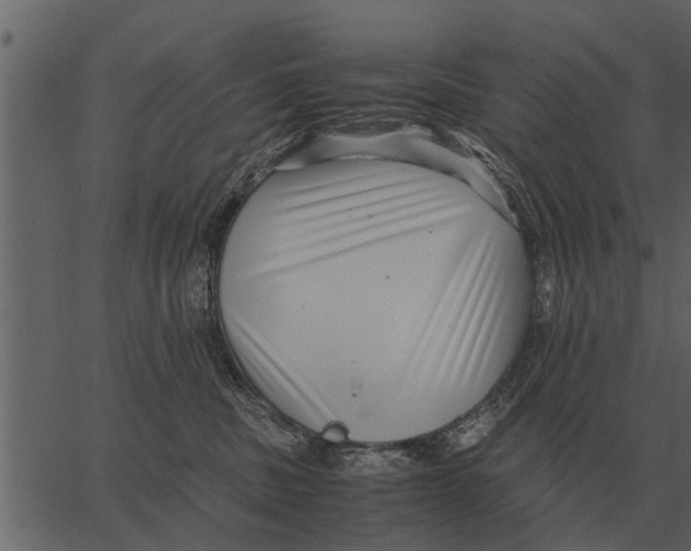 X0000062650379200601111158