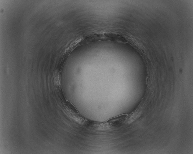 X0000062650384200601111158