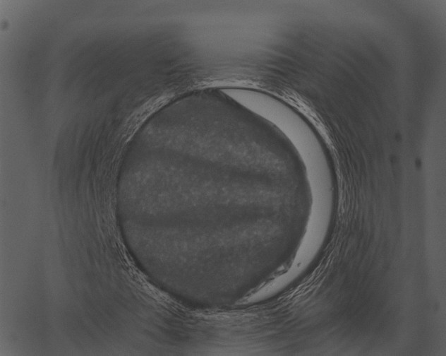 X0000062650385200601111157