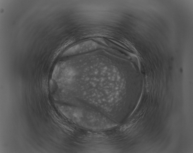 X0000062650386200601111157