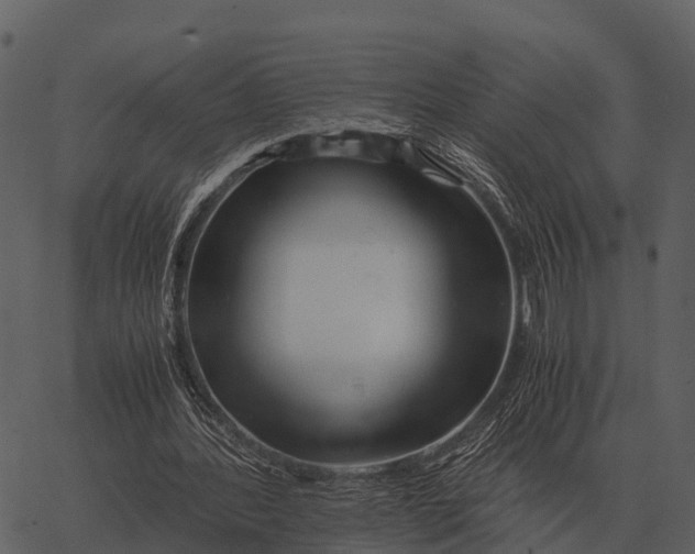 X0000062650388200601111157