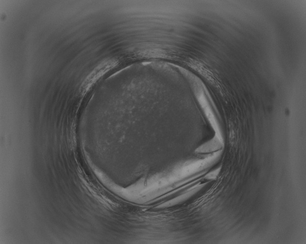 X0000062650390200601111157