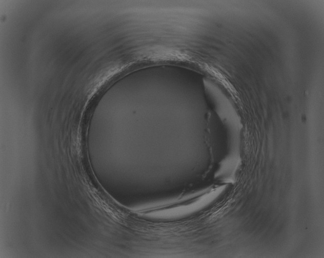 X0000062650391200601111157