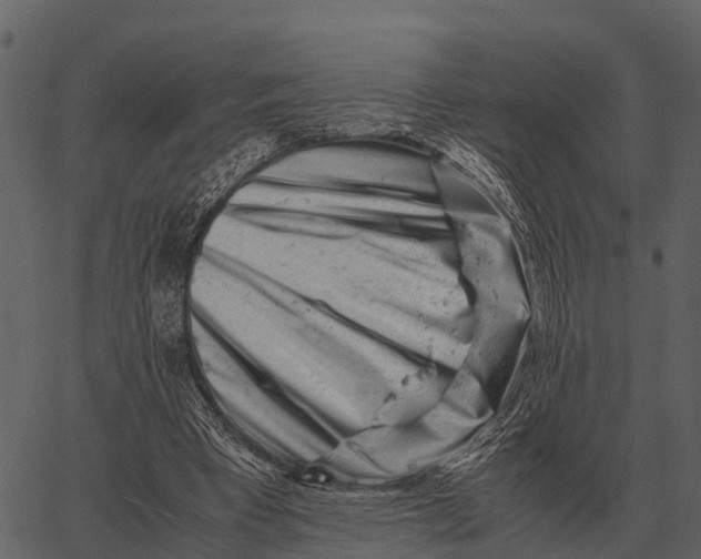 X0000062650393200601111157