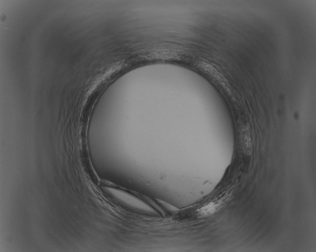 X0000062650395200601111157