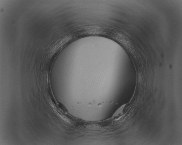 X0000062650397200601111157