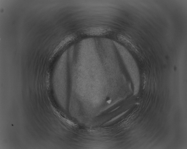 X0000062650400200601111157