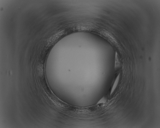 X0000062650401200601111157