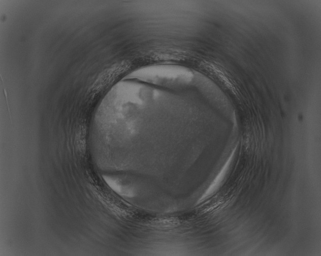 X0000062650402200601111157