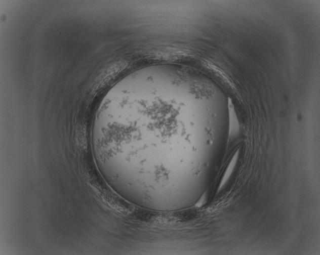 X0000062650403200601111157