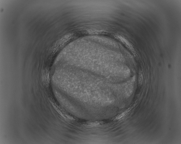 X0000062650405200601111157