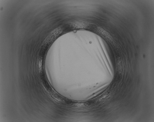 X0000062650406200601111157