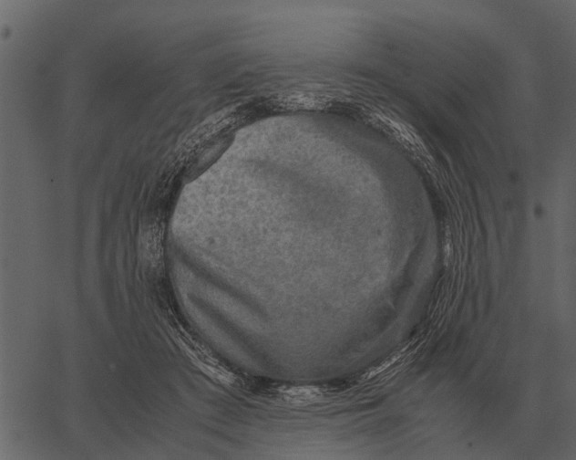 X0000062650409200601111157