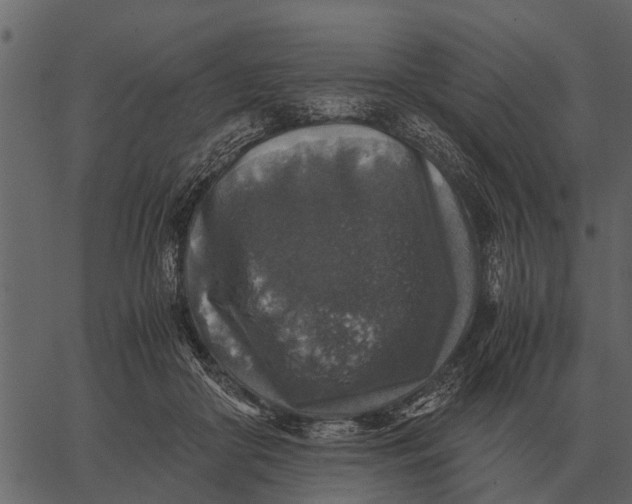 X0000062650410200601111157