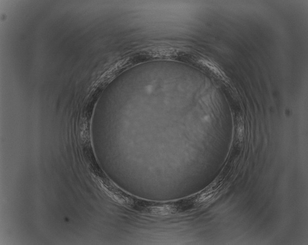 X0000062650411200601111157