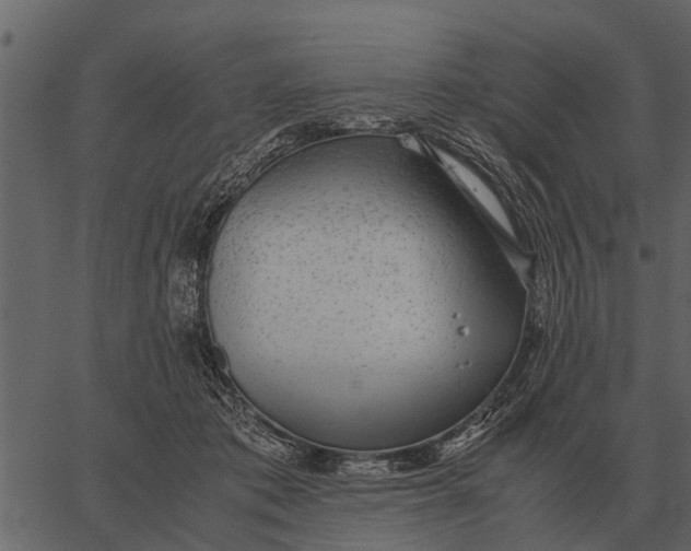 X0000062650413200601111157