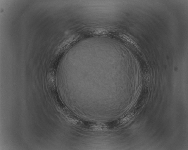 X0000062650415200601111157