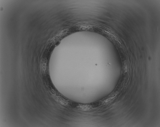 X0000062650417200601111156