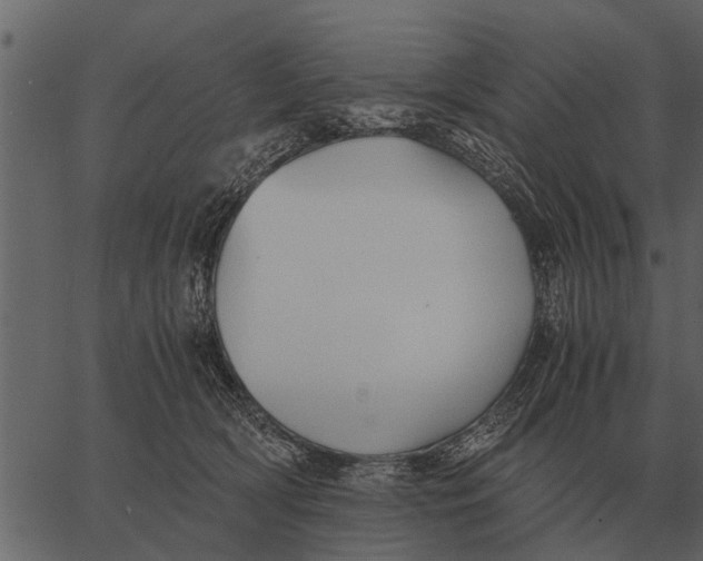 X0000062650418200601111156