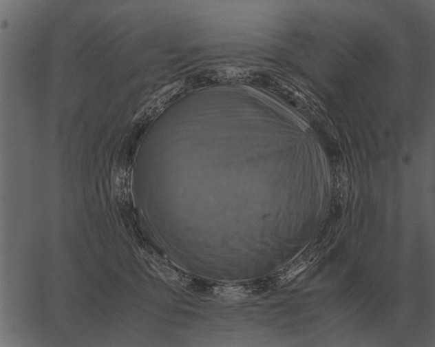 X0000062650419200601111156