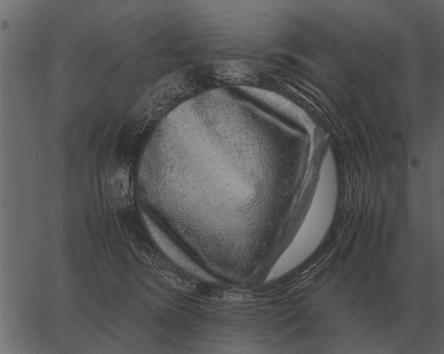 X0000062650420200601111156