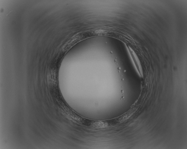 X0000062650421200601111156