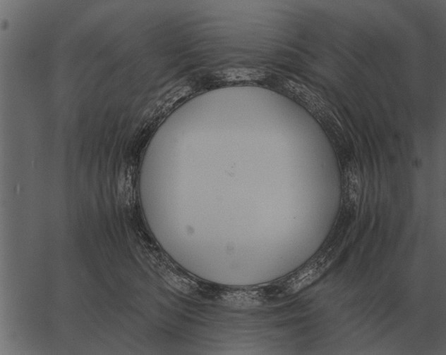 X0000062650422200601111156