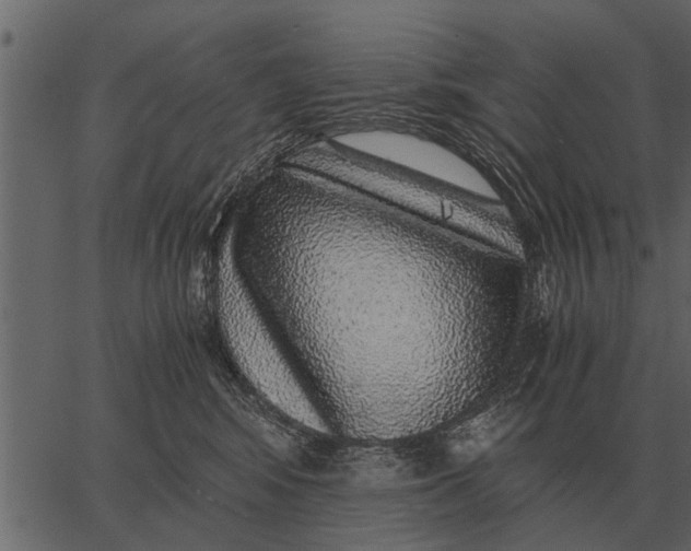 X0000062650424200601111156