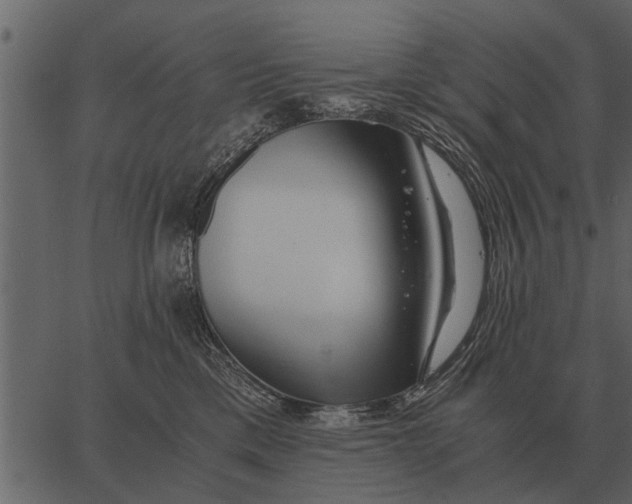 X0000062650425200601111156