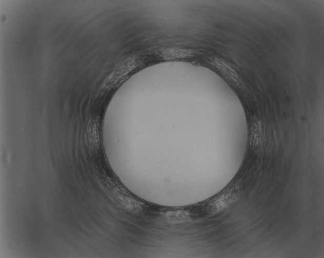 X0000062650426200601111156