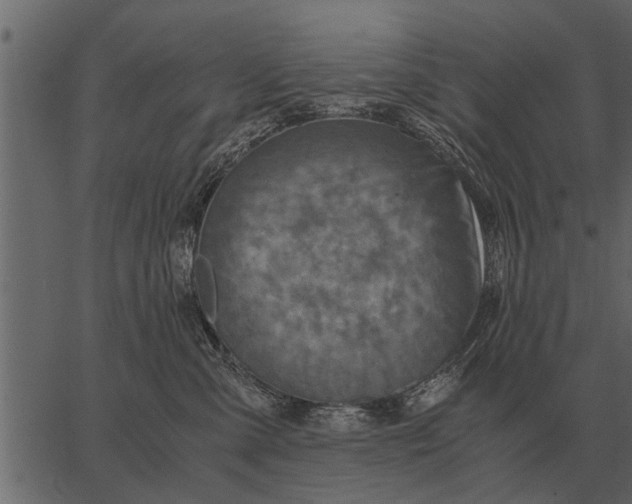 X0000062650427200601111156