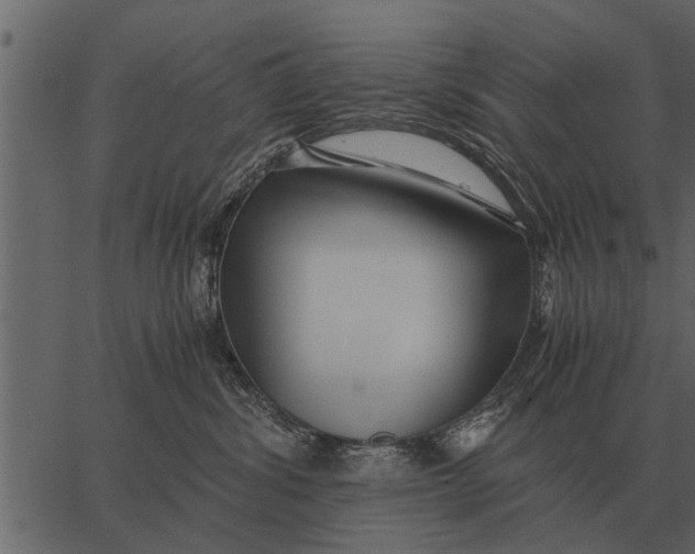 X0000062650428200601111156