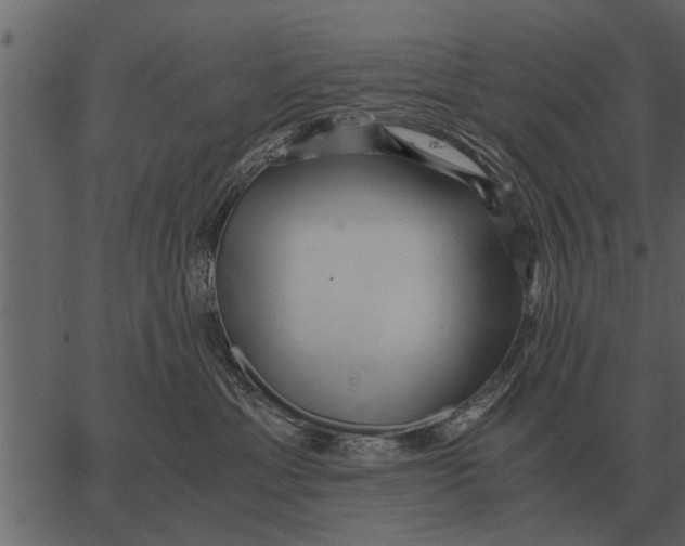 X0000062650429200601111156