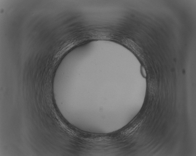 X0000062650433200601111155