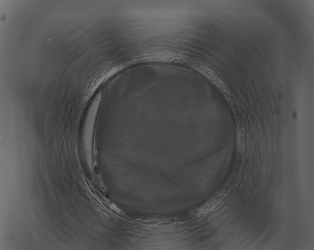 X0000062650434200601111155