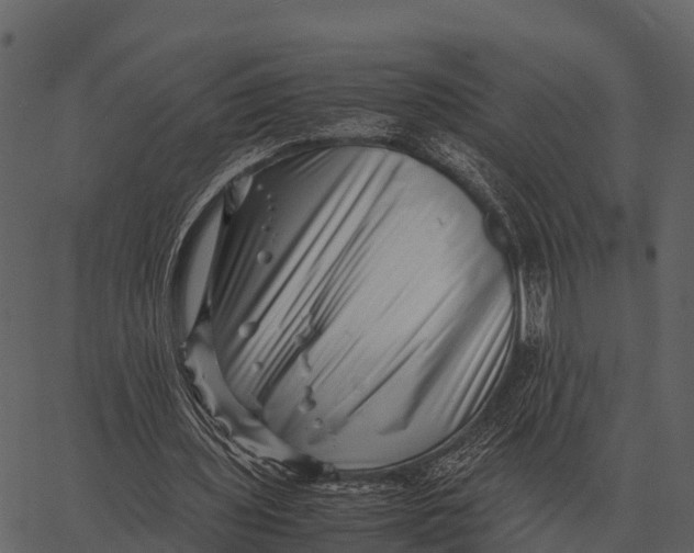 X0000062650435200601111155