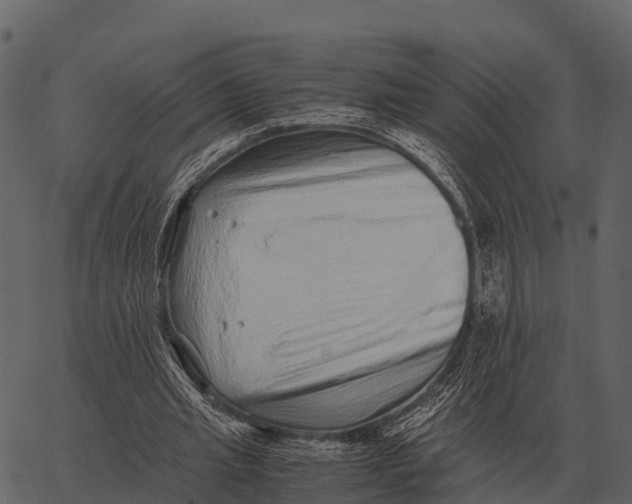 X0000062650437200601111155