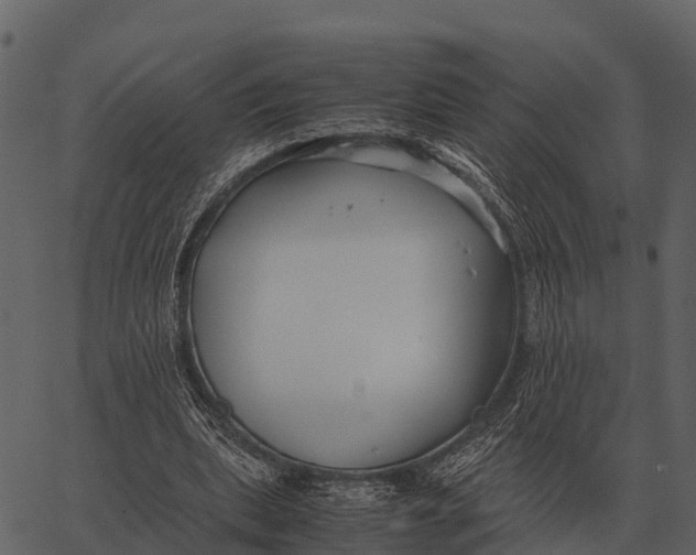 X0000062650439200601111156