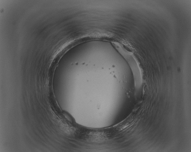 X0000062650440200601111156