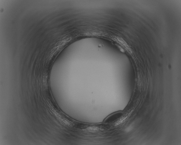 X0000062650441200601111156