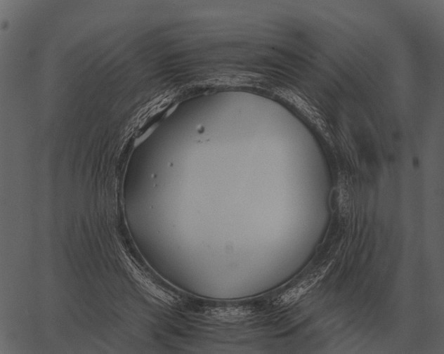 X0000062650445200601111156