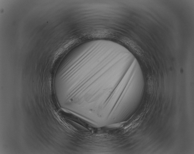 X0000062650446200601111156