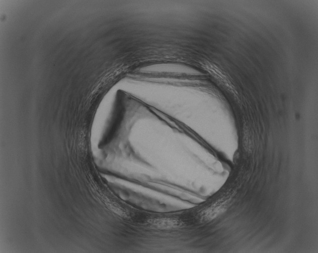 X0000062650449200601111156