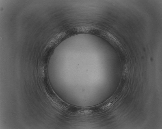 X0000062650452200601111156