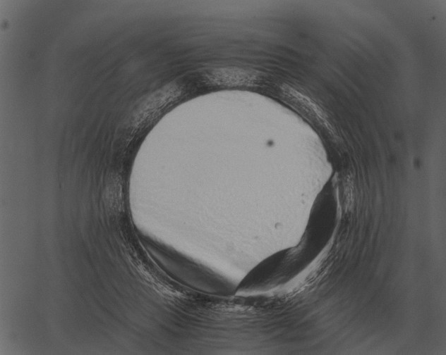 X0000062650453200601111156