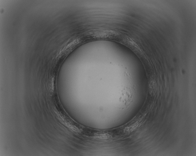 X0000062650454200601111156