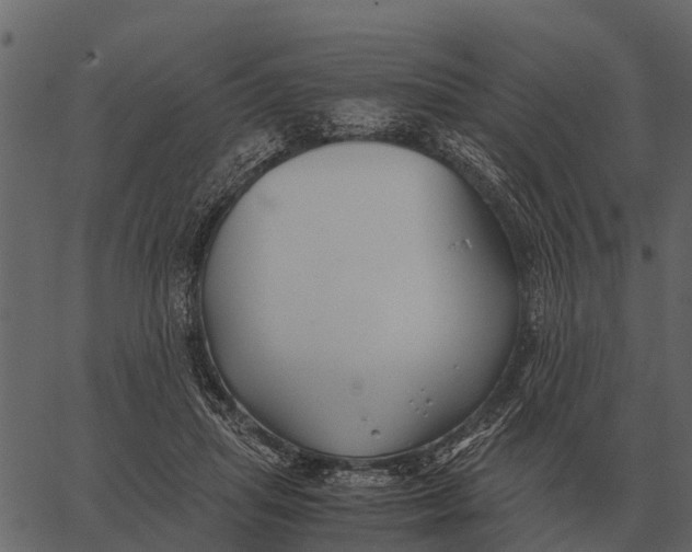 X0000062650455200601111156